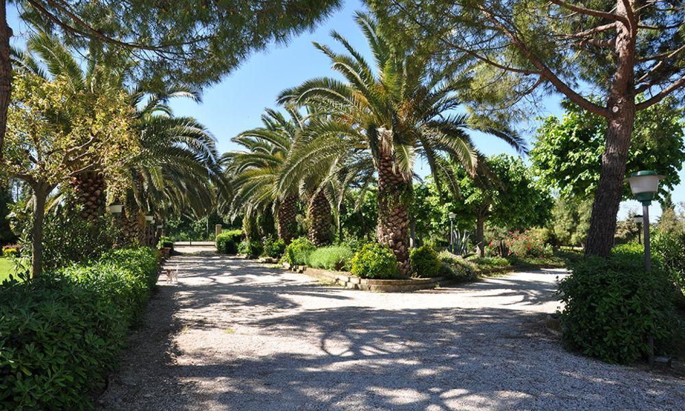 Residenza Scorcio Sul Mare Otel Porto San Giorgio Dış mekan fotoğraf